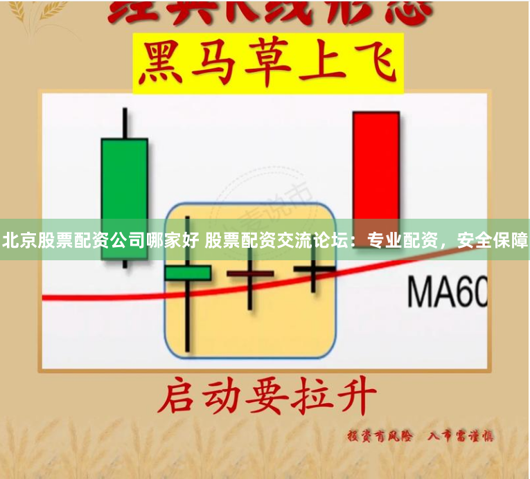 北京股票配资公司哪家好 股票配资交流论坛：专业配资，安全保障