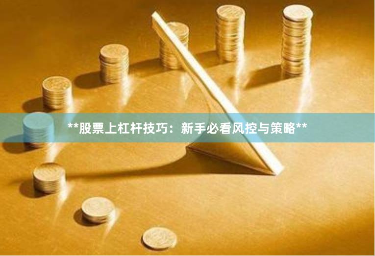 **股票上杠杆技巧：新手必看风控与策略**