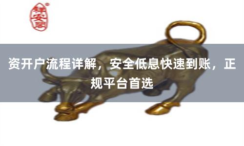 资开户流程详解，安全低息快速到账，正规平台首选